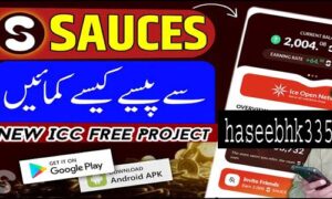 Read more about the article sauces.world Free Earning App Download
