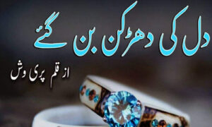 Read more about the article Dil Ki Dharkan Ban Gaye By Pari Vash Complete Novel