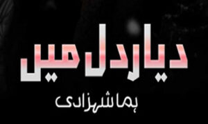 Read more about the article Diyar E Dil Mein By Huma Shahzadi Complete Novel