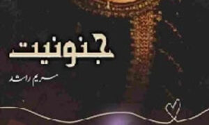Read more about the article Janoniyat By Maryam Rashid Complete Novel