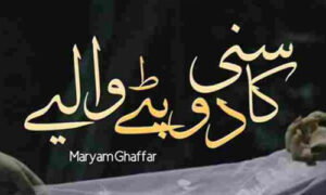 Read more about the article Kasni Dupatty Waliy By Mehwish Ghaffar Complete Novel