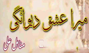 Read more about the article Mera Ishq Deewangi By Manahil Ali Complete Novel