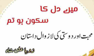 Read more about the article Mere Dil Ka Sakoon Ho Tum By Zoya Ali Shah Complete Novel