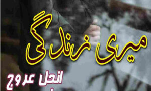 Read more about the article Meri Zindagi by Angel Urooj Complete Novel