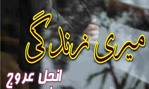 Meri Zindagi by Angel Urooj Complete Novel