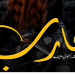 Muharib By Kanwal Hanif Complete Novel