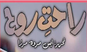 Read more about the article Rahat E Qalb By Zillay Writes Complete Novel
