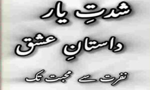 Read more about the article Shiddat E Yaar By Zoya Ali Shah Complete Novel