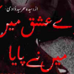Tere Ishq Main Kiya Main Ne Piya By Seyda Sehar Complete Novel
