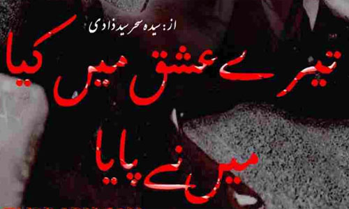 Tere Ishq Main Kiya Main Ne Piya By Seyda Sehar Complete Novel