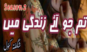Read more about the article Tum Jo Aye Zindagi Main By Shagufta Kanwal Season 2 Complete Novel