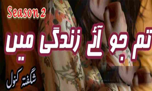 Tum Jo Aye Zindagi Main By Shagufta Kanwal Season 2 Complete Novel