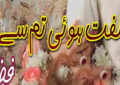 Ulfat Howi Tum Se By Fiza Complete Novel