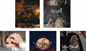 Read more about the article Emergency Nikkah Based Complete Novels
