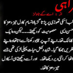 Hamrahi By AK Novels