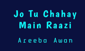 Read more about the article Jo Tu Chahay Main Raazi By Areeba Awan Novel Episode 3