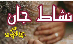 Read more about the article Nishat E Jaan By J Nikhat Complete Novel