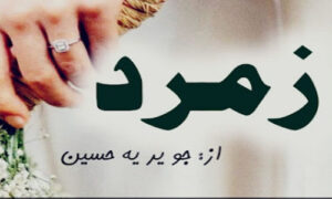 Read more about the article Zamurd By Javeriya Hussain Novel Episode 3