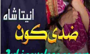 Read more about the article Ziddi Kaun By Anita Shah Complete Novel