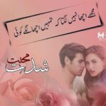 Shiddat E Mohabbat By Nazia Rajpoot Novel (Season 2 )