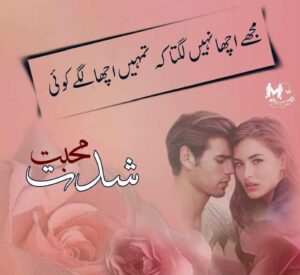 Read more about the article Shiddat E Mohabbat By Nazia Rajpoot Novel (Season 2 )
