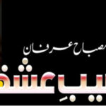 Naseeb e Ishq By Misbah Irfan Complete Novel