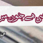 Tu Hi Hai Junoon Mera By Abdul Ahad Butt Complete Novel