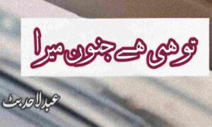 Read more about the article Tu Hi Hai Junoon Mera By Abdul Ahad Butt Complete Novel
