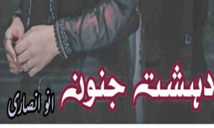 Read more about the article Dehshat E Junoon By Anum Ansari Complete Novel