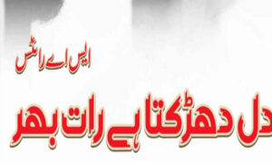 Read more about the article Dil Dhadakta Hai Raat Bhar By SA Writes Complete Novel