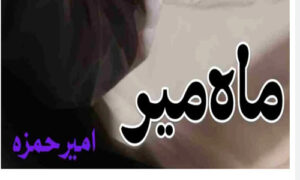 Read more about the article Maah Mir By Ameer Hamza Complete Novel