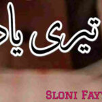 Teri Yaad By Sloni Fayyaz Complete Novel