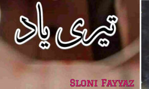 Read more about the article Teri Yaad By Sloni Fayyaz Complete Novel