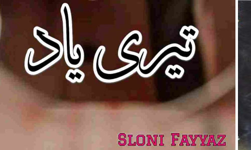 Teri Yaad By Sloni Fayyaz Complete Novel