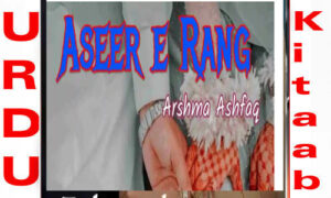 Read more about the article Aseer E Rang By Arshma Ashfaq Complete Novel