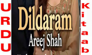 Read more about the article Dildaram By Areej Shah Complete Novel