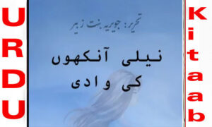 Read more about the article Neeli Ankhon Ki Waadi By Jaweria Bint e Zubair Complete Novel