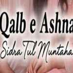 Qalb E Ashna By Sidra Tul Muntaha Complete Novel
