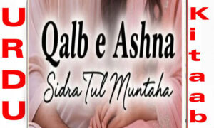 Read more about the article Qalb E Ashna By Sidra Tul Muntaha Complete Novel