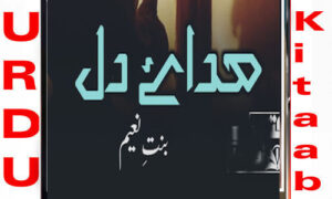 Read more about the article Sada E Dil By Bint E Naeem Complete Novel