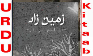 Read more about the article Zameen Zaad by Br Complete Novel