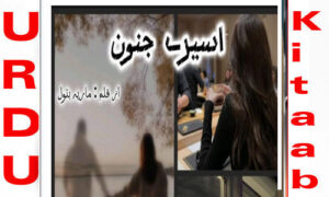 Read more about the article Aseer E Junoon By Maria Batool Episode 17 Novel