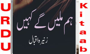 Read more about the article Hum Milen Gey Kahi By Zunaira Iqbal Complete Novel