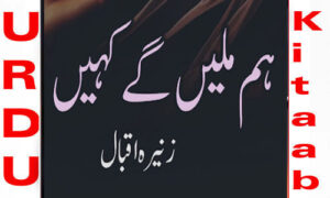 Read more about the article Hum Milen Gey Kahi By Zunaira Iqbal Complete Novel