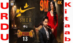 Read more about the article Sher by Danish Taimoor & Sarah Khan Episode 13