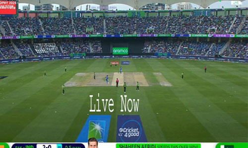 4K Ultra HD Cricket Match Live