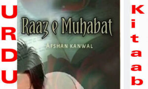 Read more about the article Raaz E Mohabbat By Afshan Kanwal Complete Novel