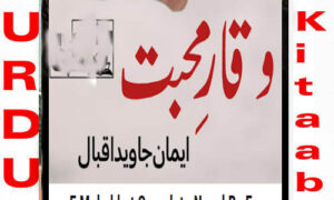 Read more about the article Waqar E Mohabbat By Eman Javed Iqbal Complete Novel
