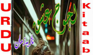 Read more about the article Lajooj Ishq By Nazia Zaman Complete Novel